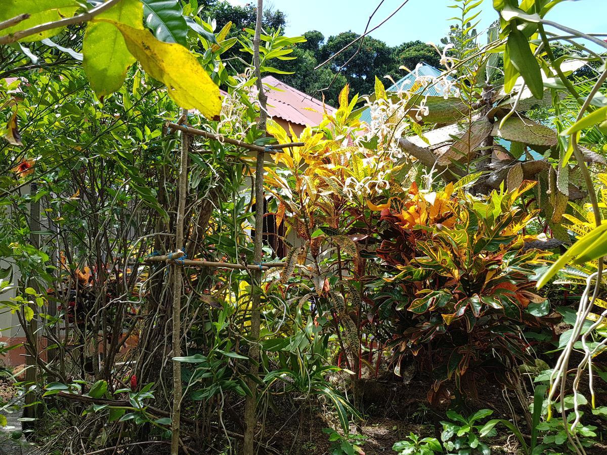 Island Bungalow La Digue Exterior foto